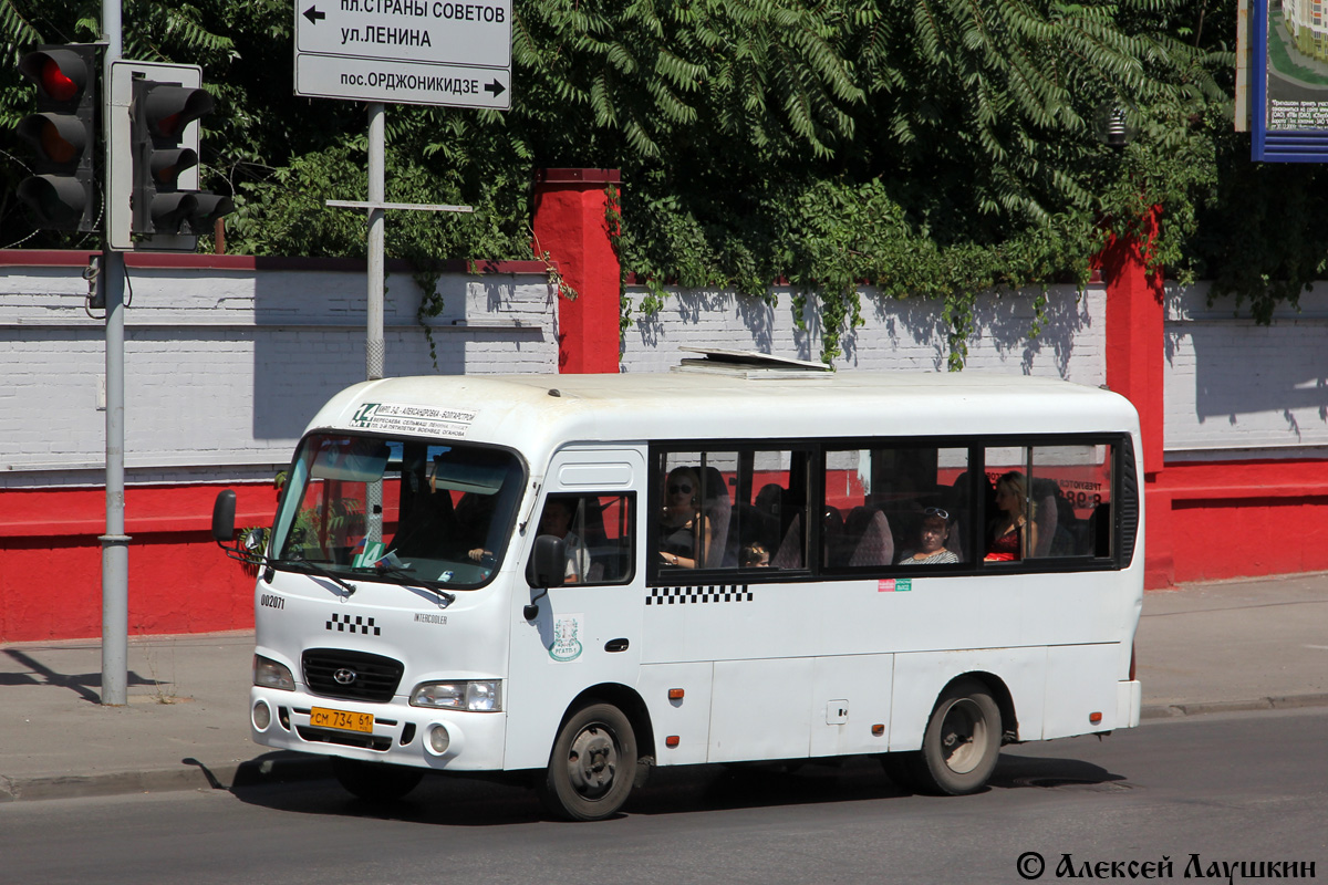 Ростовская область, Hyundai County SWB C08 (ТагАЗ) № 002071