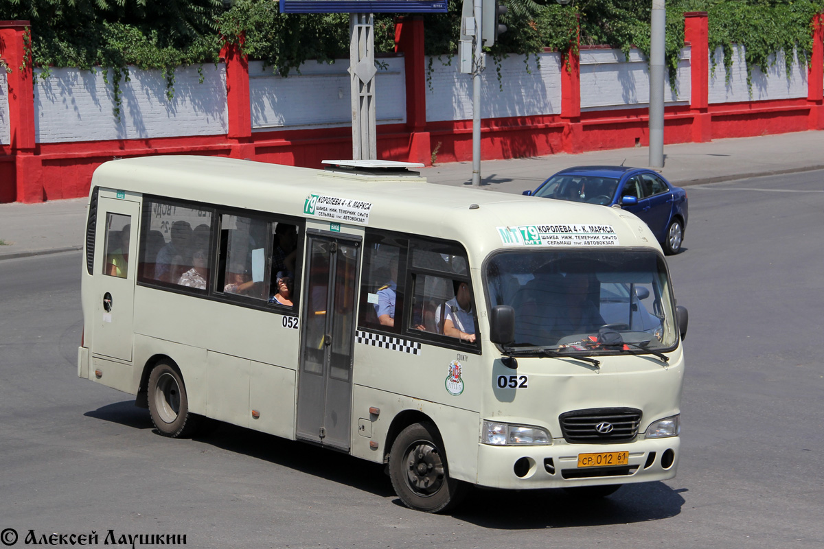 Ростовская область, Hyundai County LWB C11 (ТагАЗ) № 052