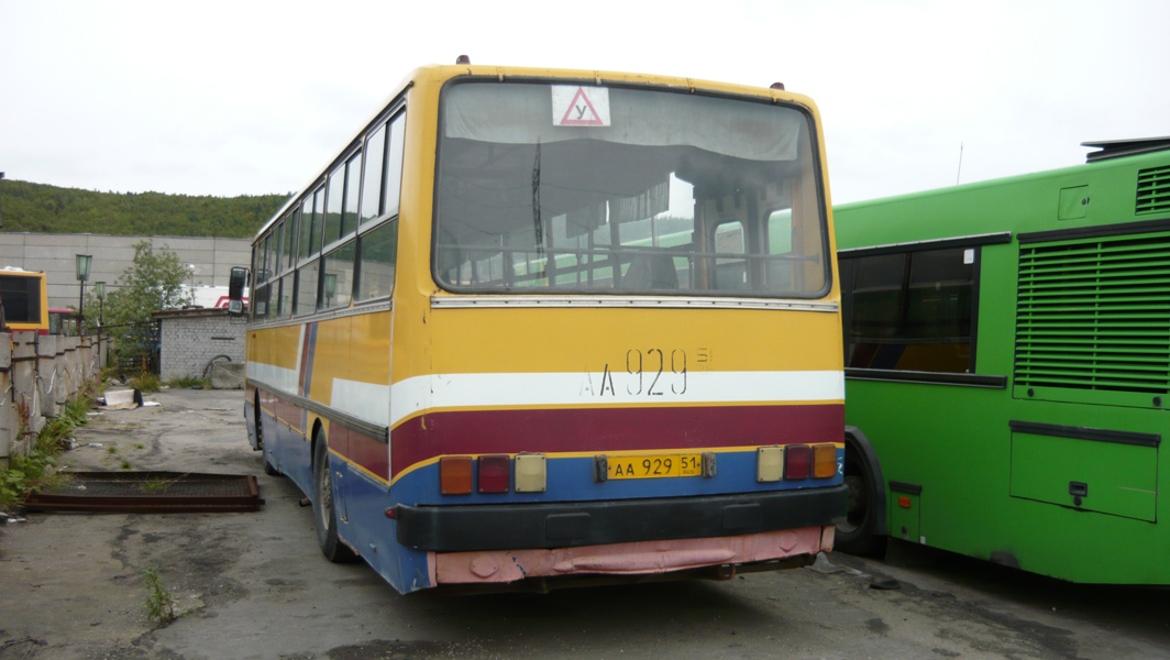 Мурманская область, Ikarus 260.51 № АА 929 51