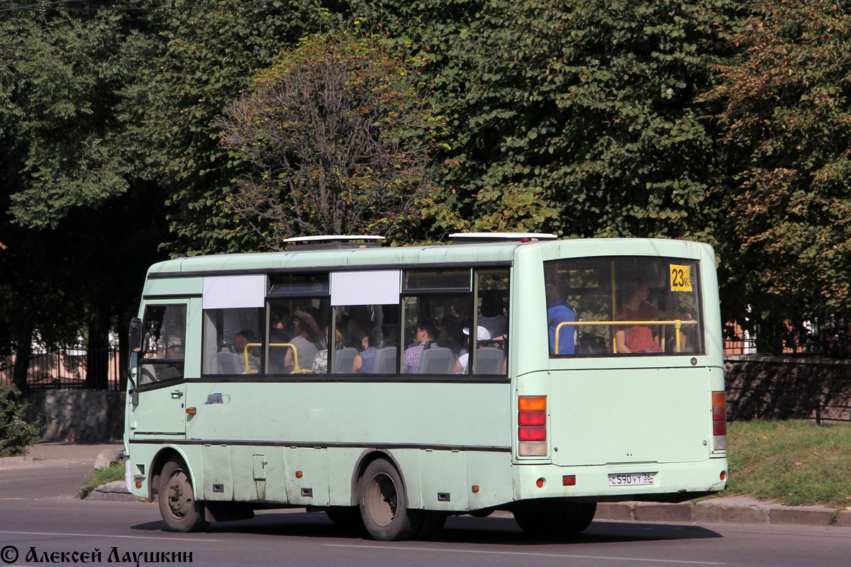 Воронежская область, ПАЗ-320401-01 № С 590 УТ 36