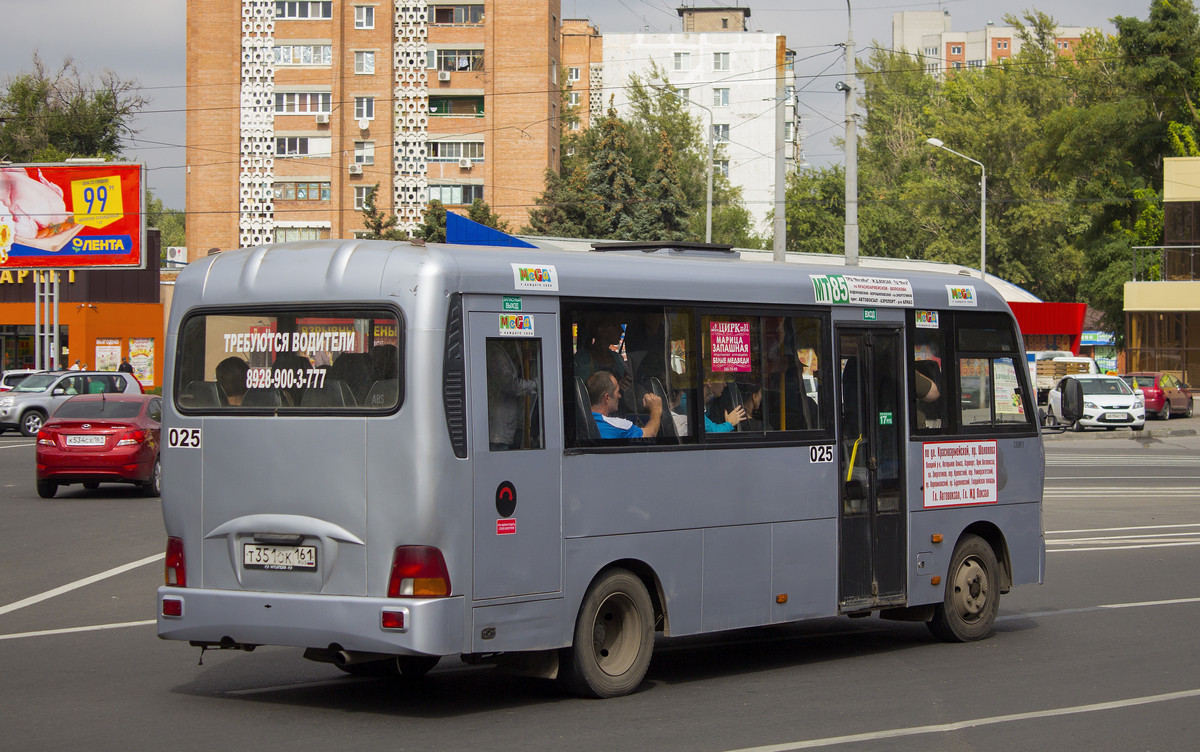 Ростовская область, Hyundai County LWB C11 (ТагАЗ) № 025