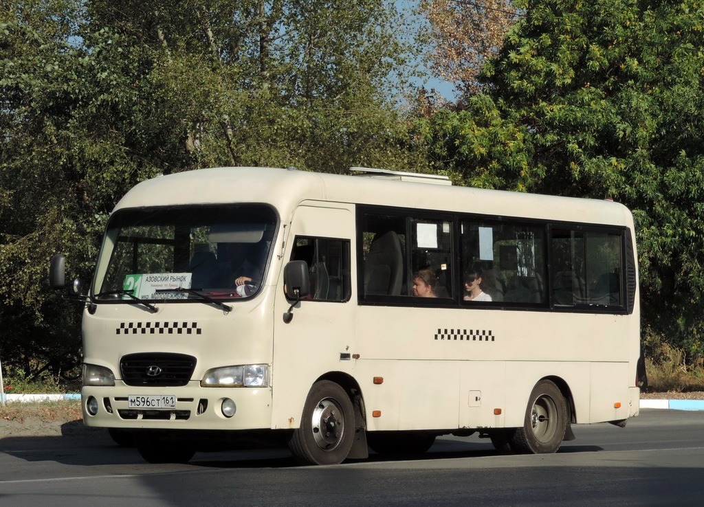 Ростовская область, Hyundai County SWB C08 (РЗГА) № М 596 СТ 161