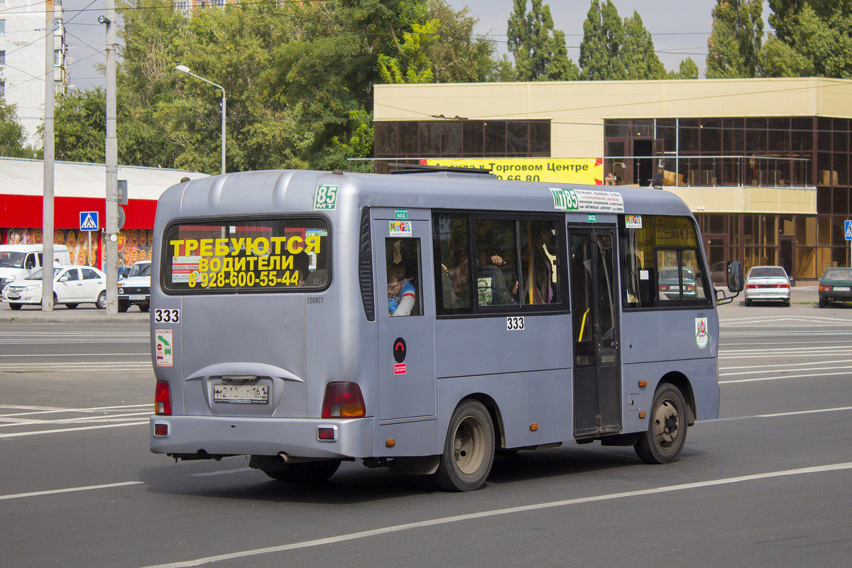 Ростовская область, Hyundai County SWB C08 (ТагАЗ) № 333