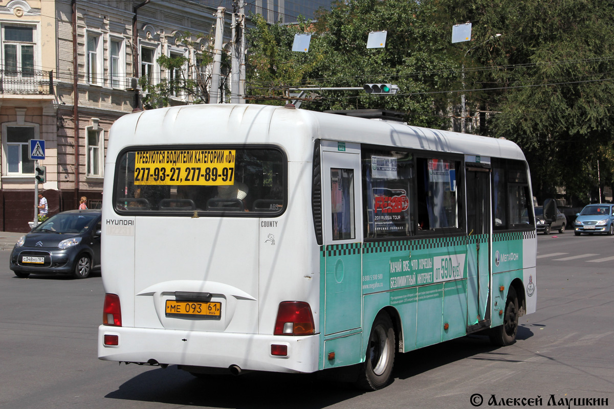 Ростовская область, Hyundai County LWB C09 (ТагАЗ) № 02231