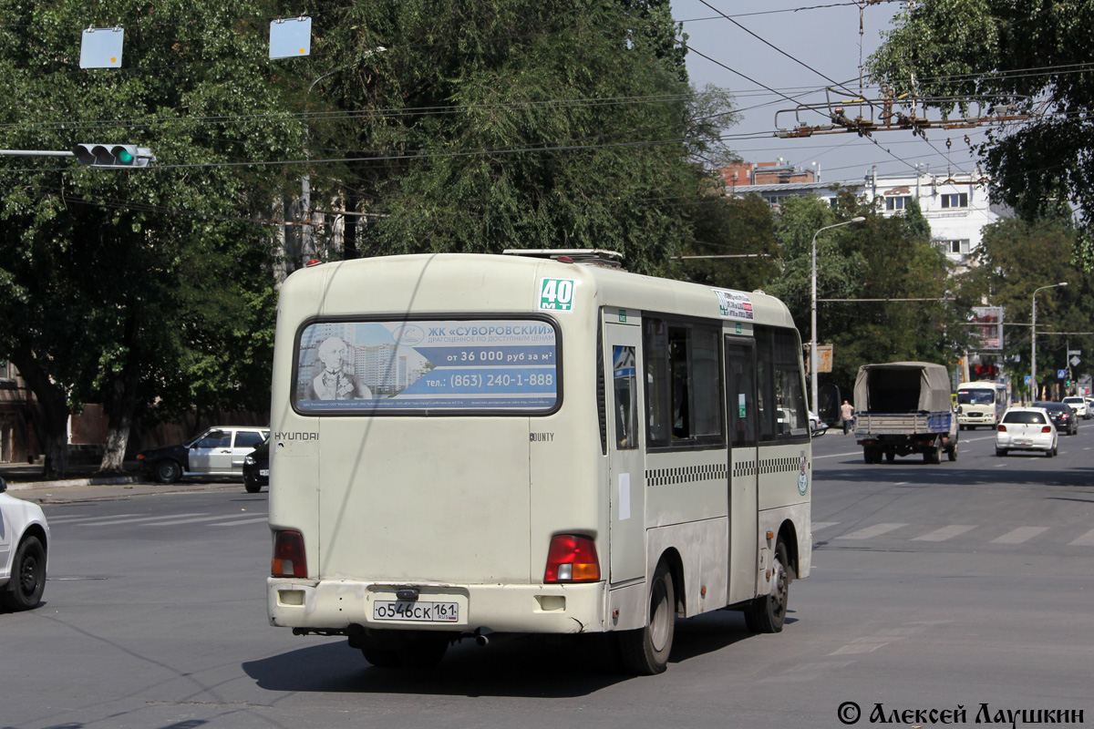 Ростовская область, Hyundai County SWB C08 (РЗГА) № 002268