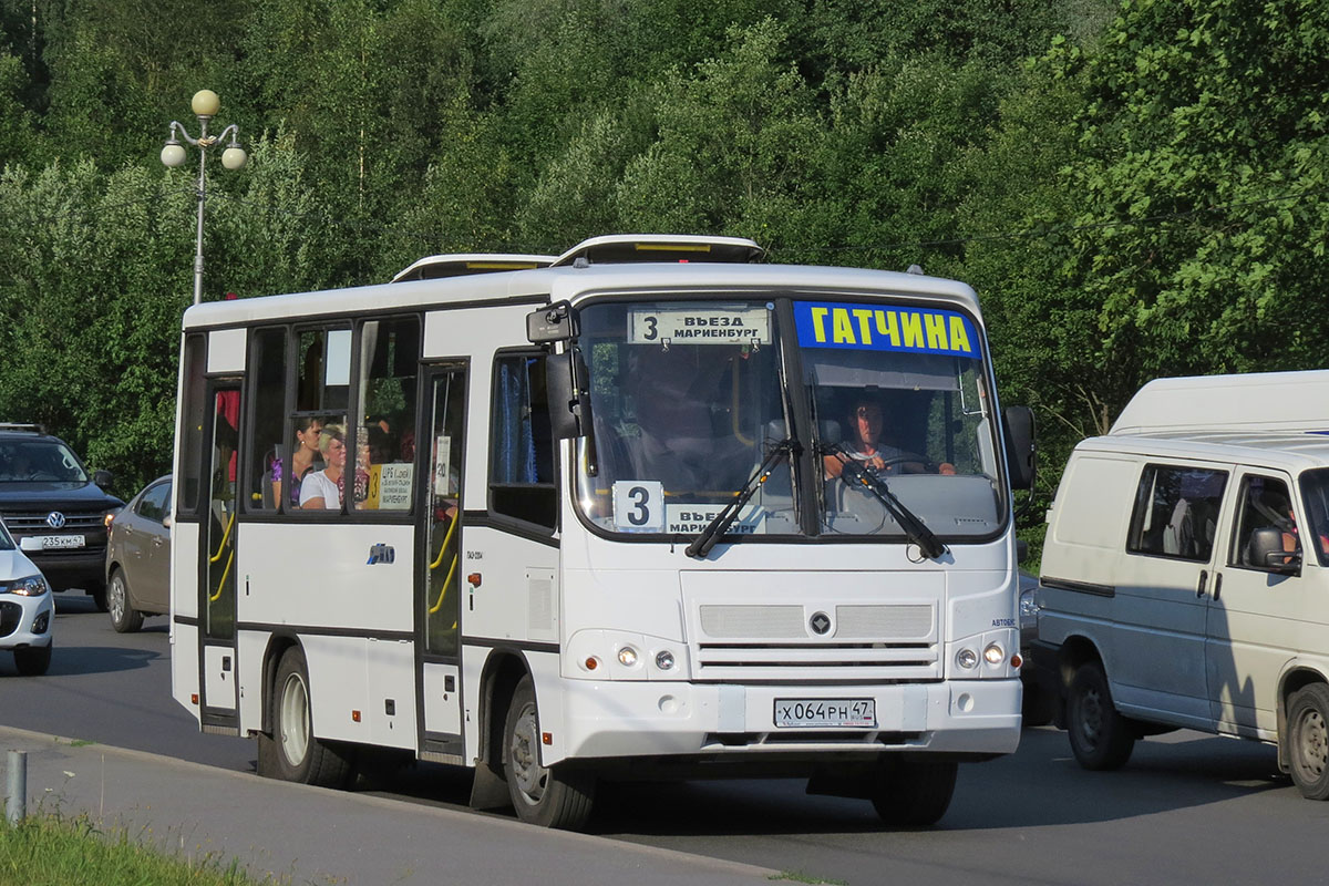 Ленинградская область, ПАЗ-320402-05 № Х 064 РН 47