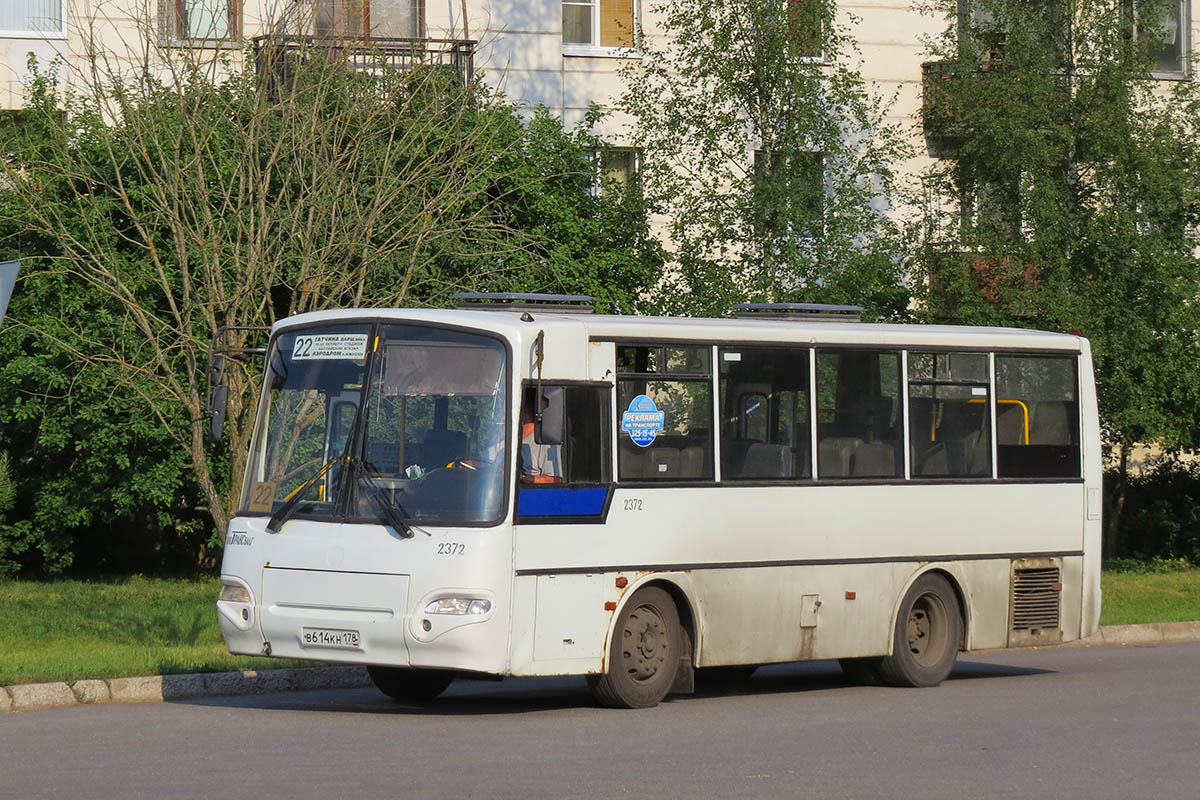 Ленинградская область, КАвЗ-4235-03 № 2372