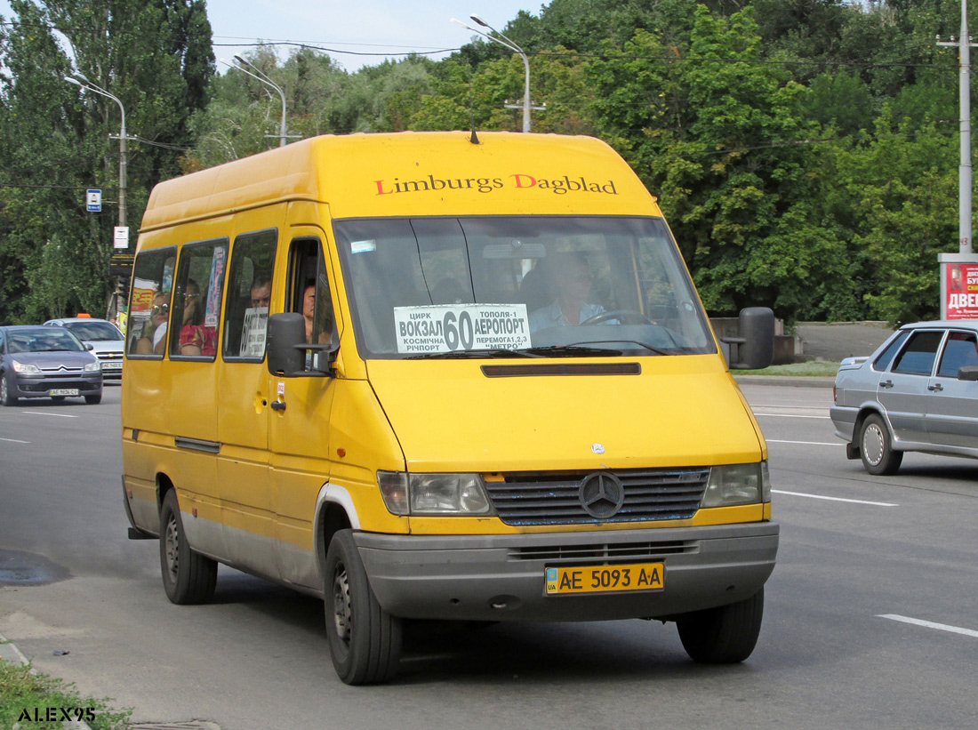 Днепропетровская область, Mercedes-Benz Sprinter W903 310D № AE 5093 AA