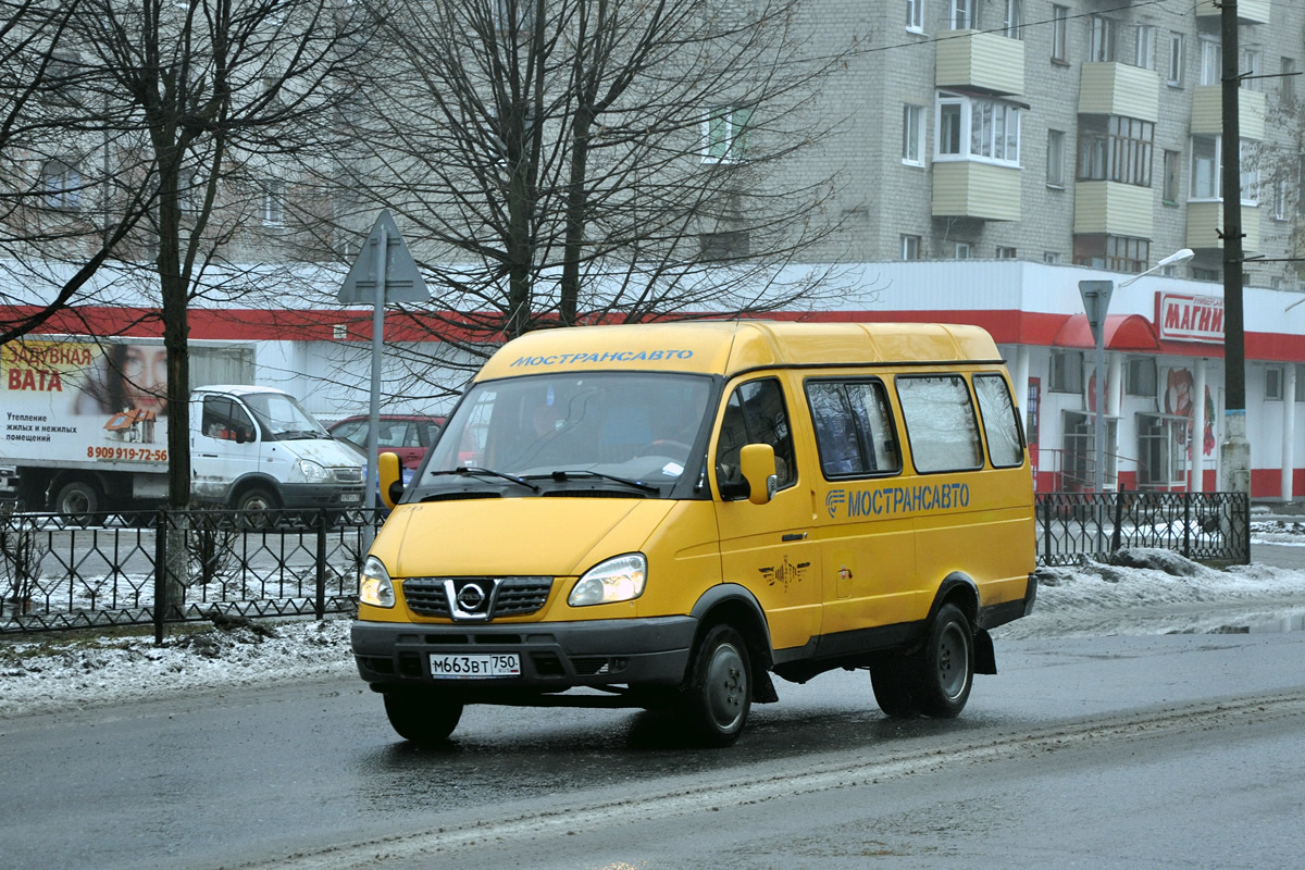 Московская область, ГАЗ-322132 (XTH, X96) № 0206