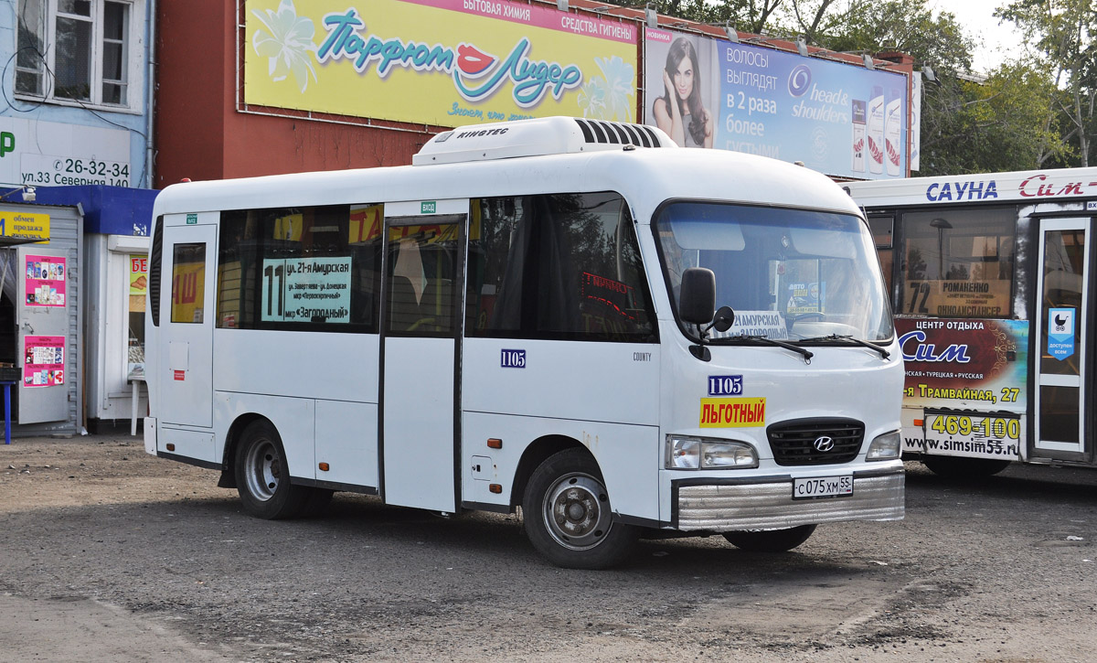 Омская область, Hyundai County SWB (ТагАЗ) № 1105