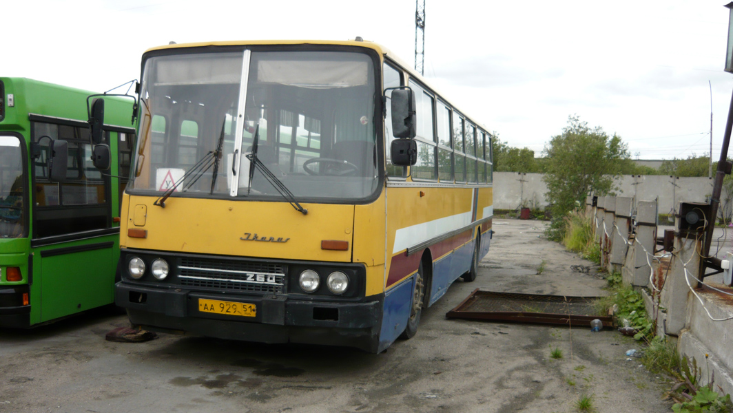 Мурманская область, Ikarus 260.51 № АА 929 51