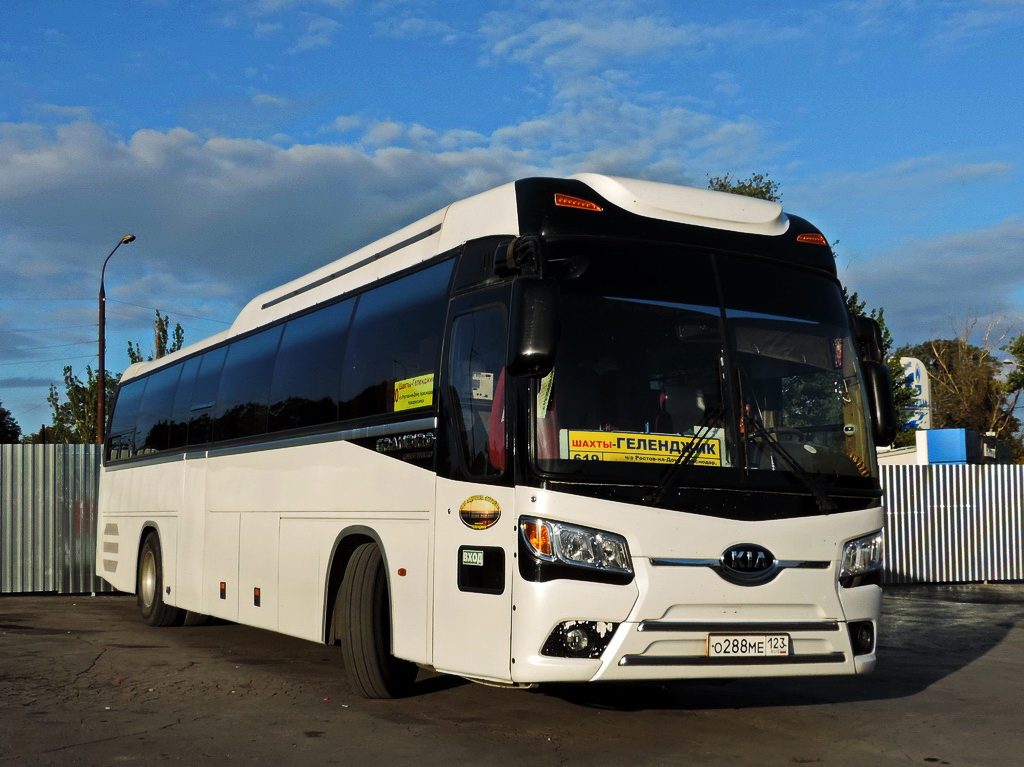 Автобусные в кабардинку. Кия Грандберд. Kia Granbird автобус Геленджик рейсовый. Автобус Геленджик Ростов на Дону. Кия Грандберд белый.