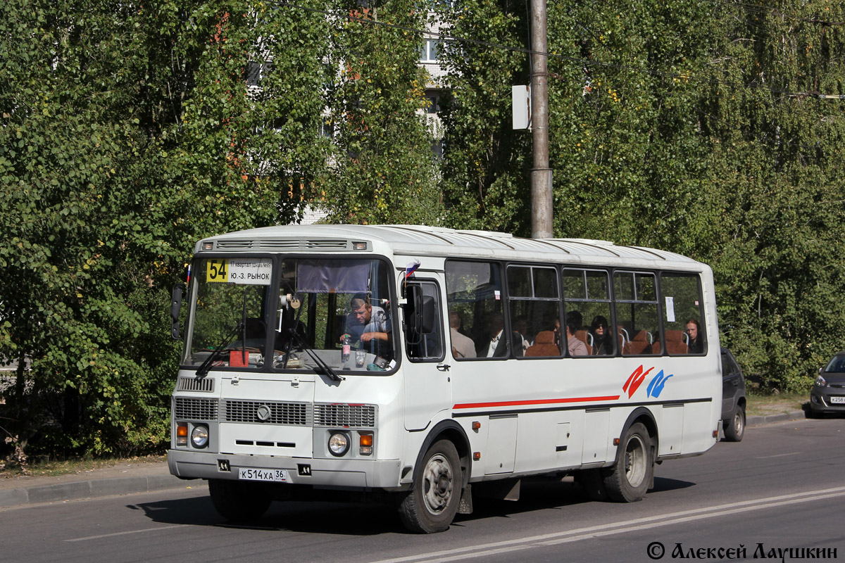 Воронежская область, ПАЗ-4234 № К 514 ХА 36