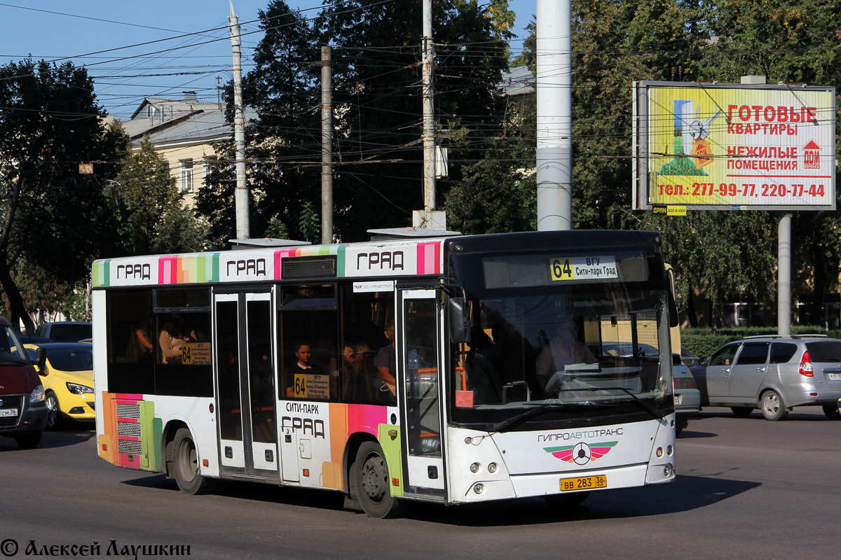 Voronezh region, MAZ-206.060 Nr. ВВ 283 36