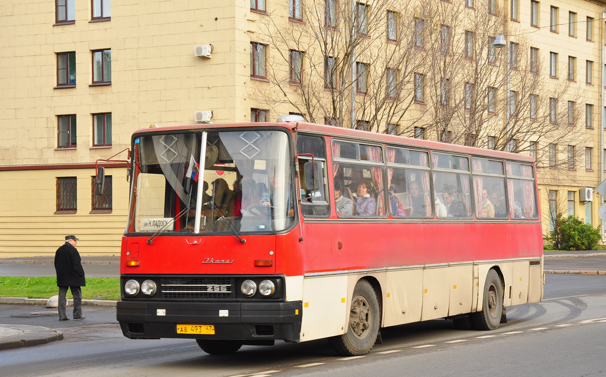 Ленинградская область, Ikarus 256.74 № АВ 493 47