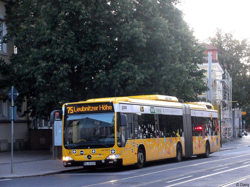 Саксония, Mercedes-Benz O530GDH Citaro G BlueTec-Hybrid № 462 002-6