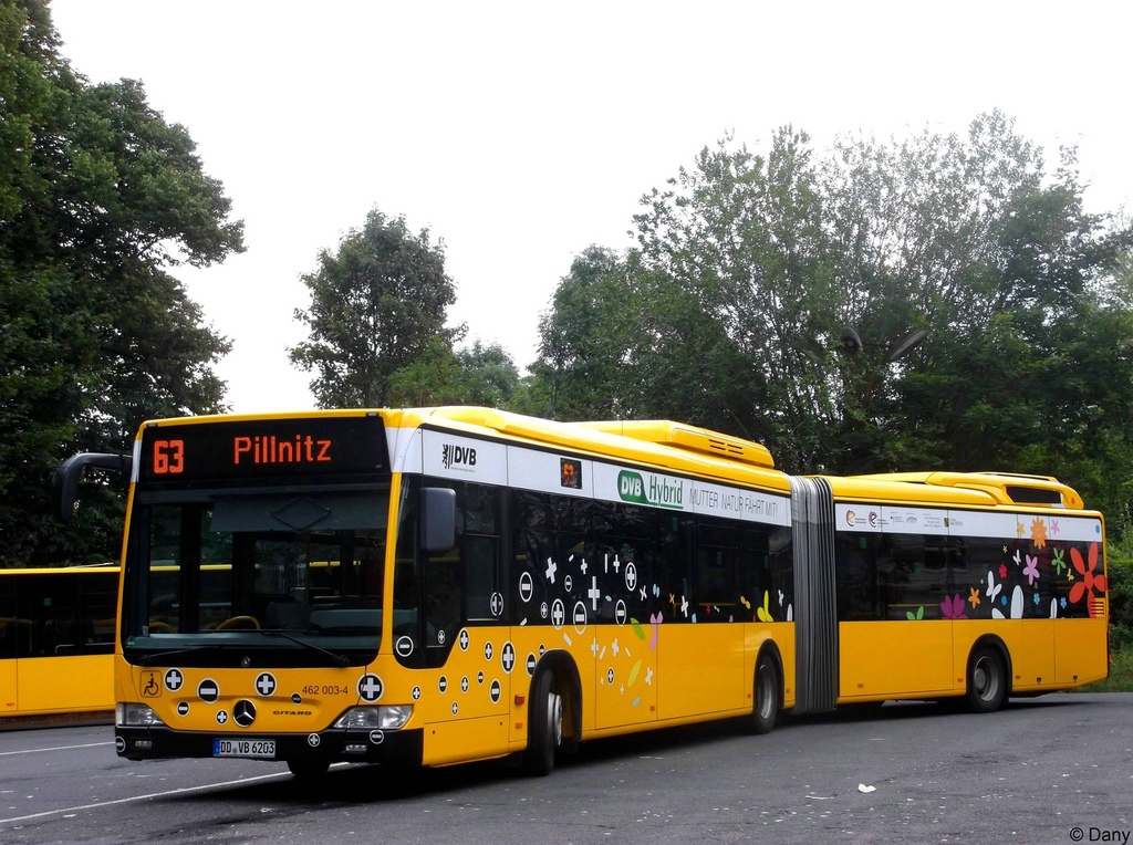 Sachsen, Mercedes-Benz O530GDH Citaro G BlueTec-Hybrid Nr. 462 003-4