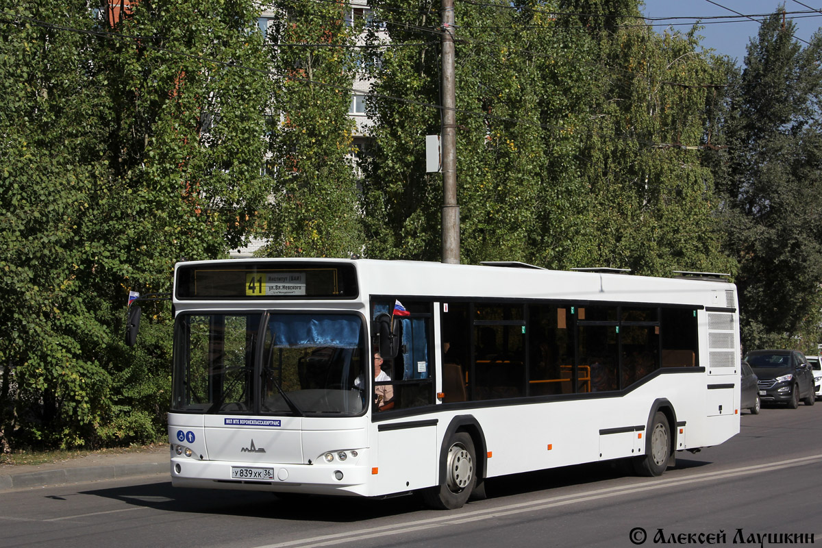 Воронежская область, МАЗ-103.469 № У 839 ХК 36