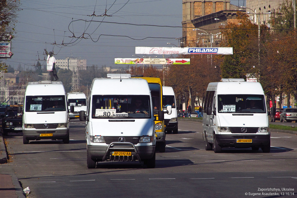 Zaporozhye region, Mercedes-Benz Sprinter W903 310D Nr. AP 2592 AA; Zaporozhye region, Mercedes-Benz Sprinter W903 312D Nr. AP 5440 AA