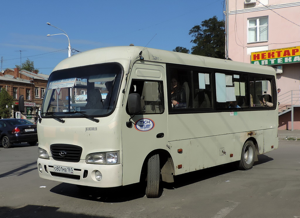 Ростовская область, Hyundai County SWB C08 (РЗГА) № О 801 МВ 161