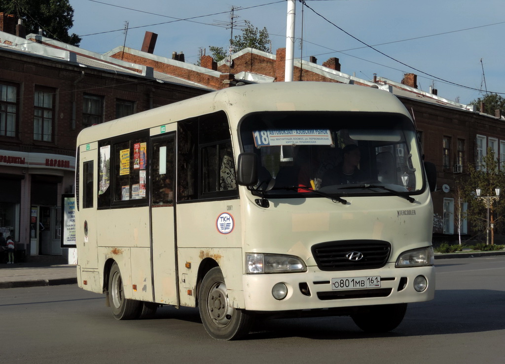 Ростовская область, Hyundai County SWB C08 (РЗГА) № О 801 МВ 161