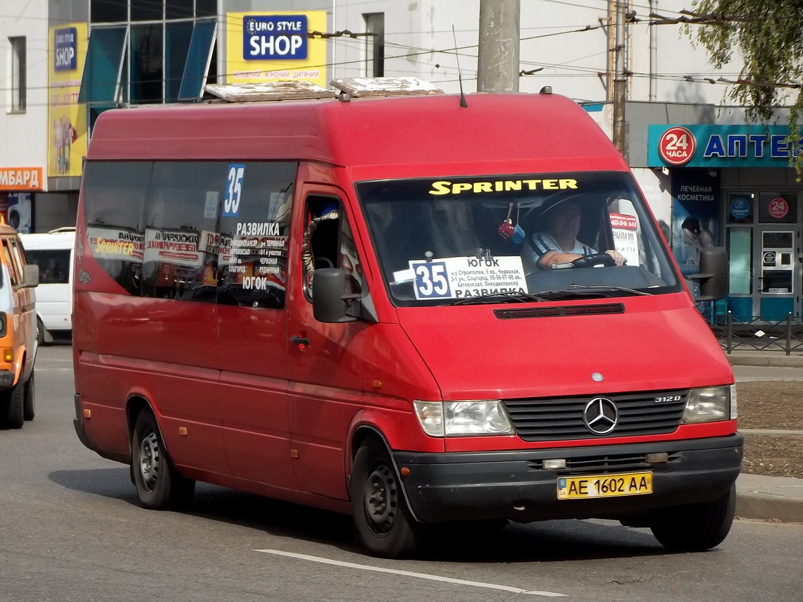 Днепропетровская область, Mercedes-Benz Sprinter W903 310D № AE 1602 AA