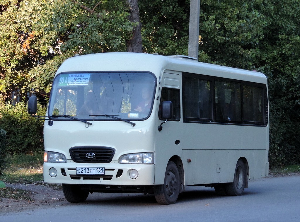 Ростовская область, Hyundai County SWB C08 (РЗГА) № О 213 РТ 161