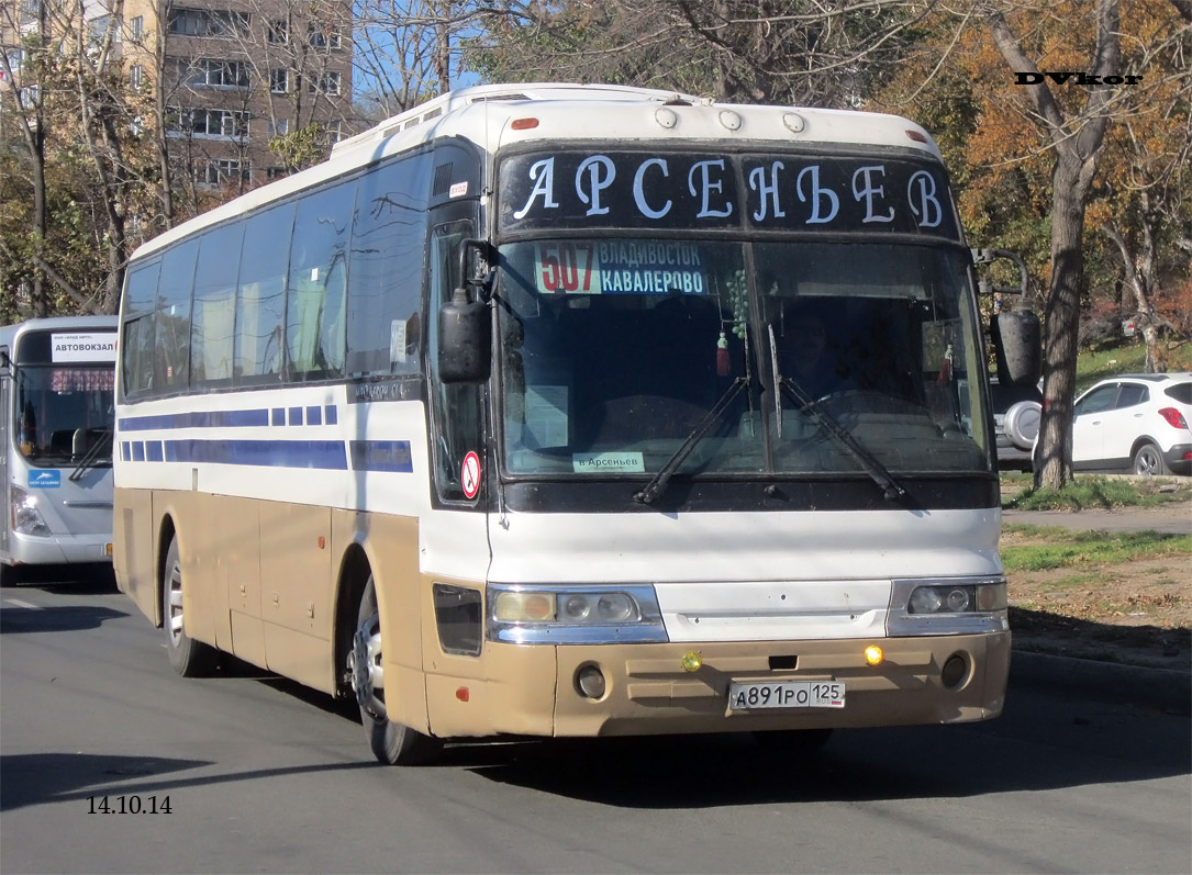 Приморский край, Hyundai AeroQueen Hi-Class № А 891 РО 125