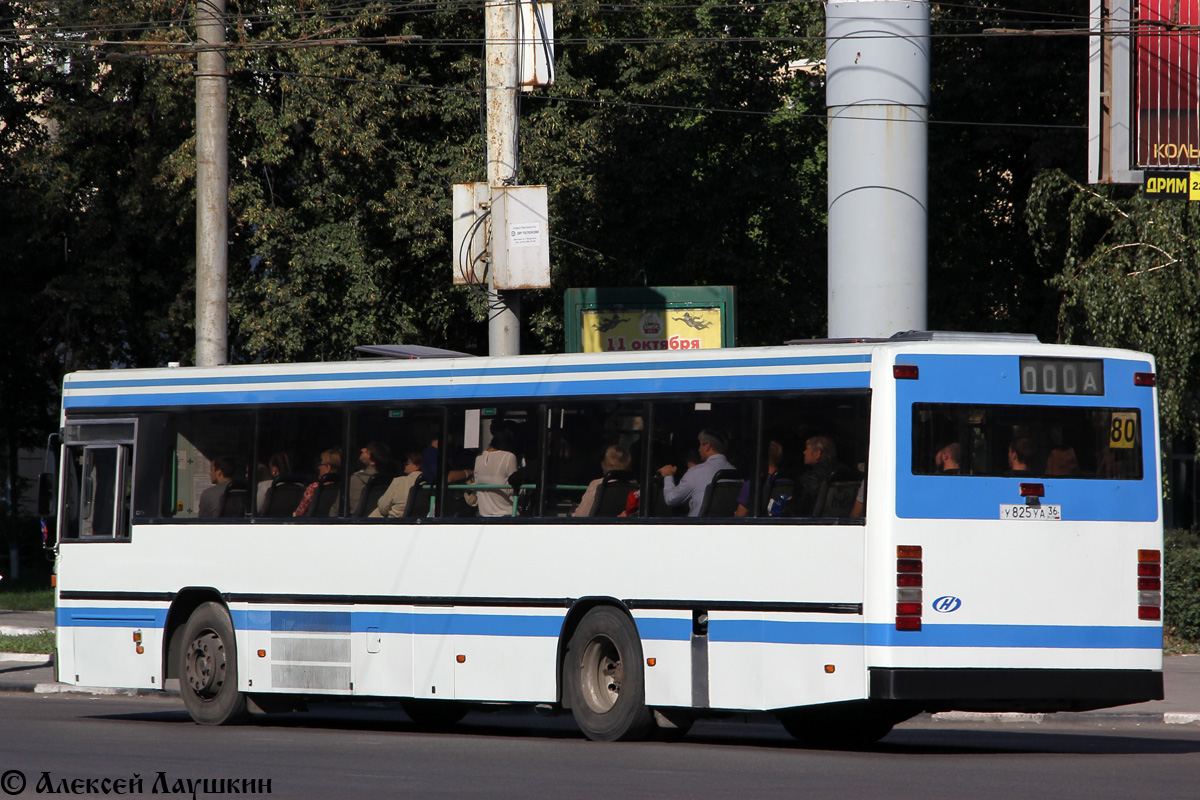 Воронежская область, Carrus K204 City № У 825 УА 36