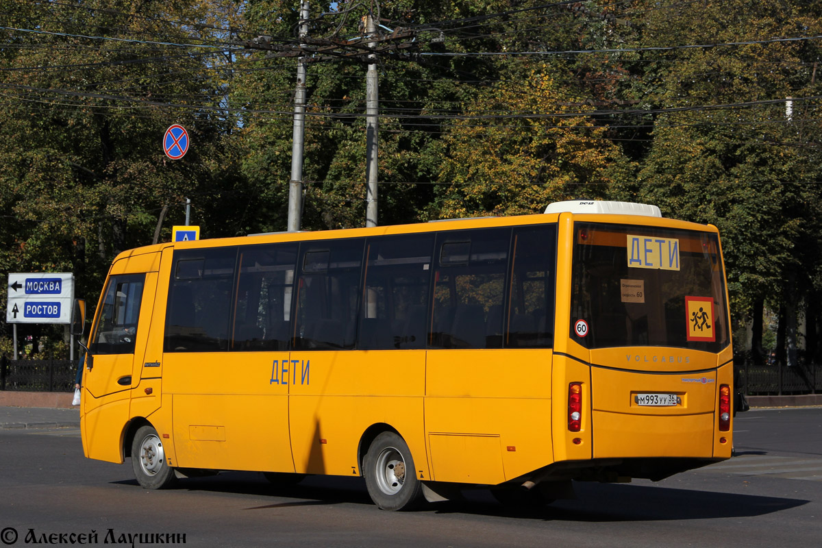 Voronezh region, Volgabus-4298.01-01 # М 993 УУ 36