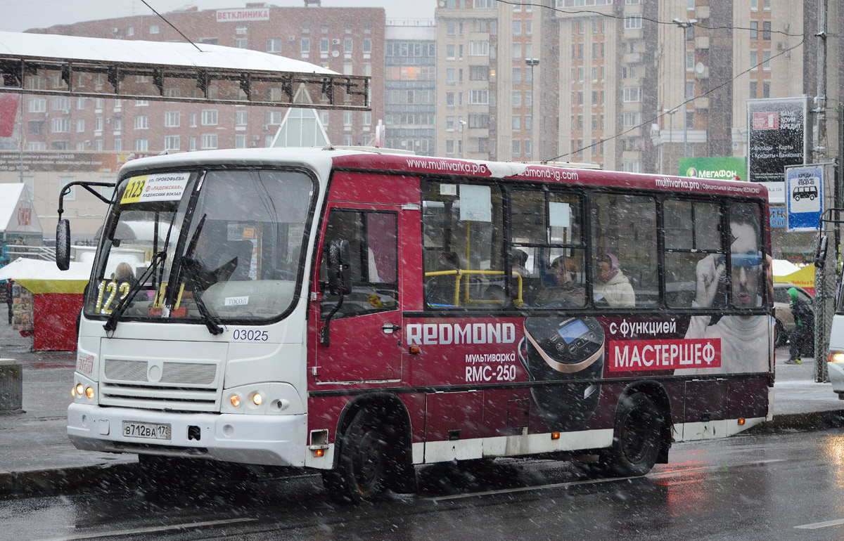 Санкт-Петербург, ПАЗ-320402-03 № 03025