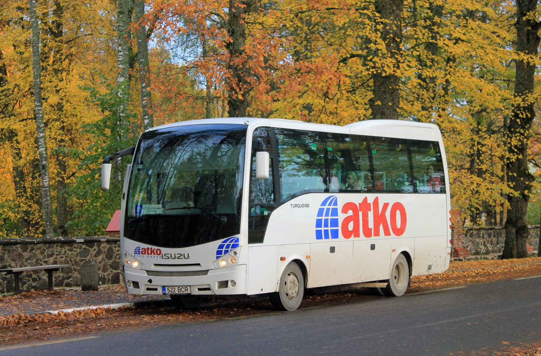 Эстония, Anadolu Isuzu Turquoise № 522 BCR; Эстония — Viljandimaa — Автобусные станции, конечные остановки, площадки, парки, разное