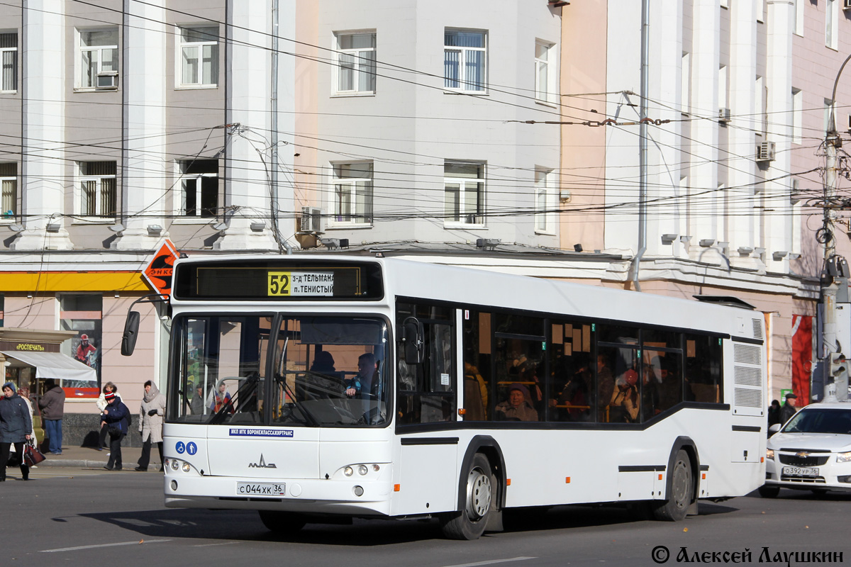 Воронежская область, МАЗ-103.469 № С 044 ХК 36