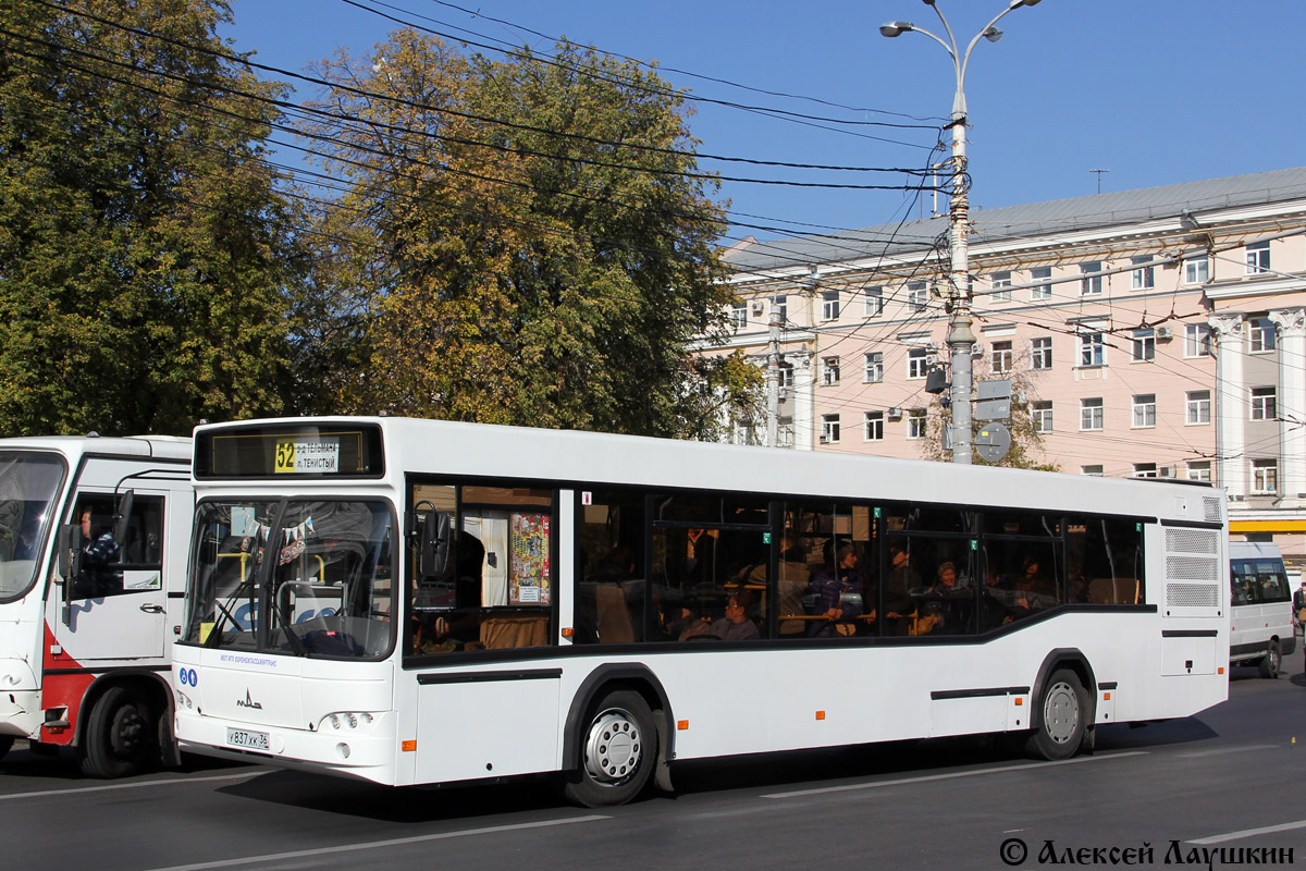 Воронежская область, МАЗ-103.469 № У 837 ХК 36