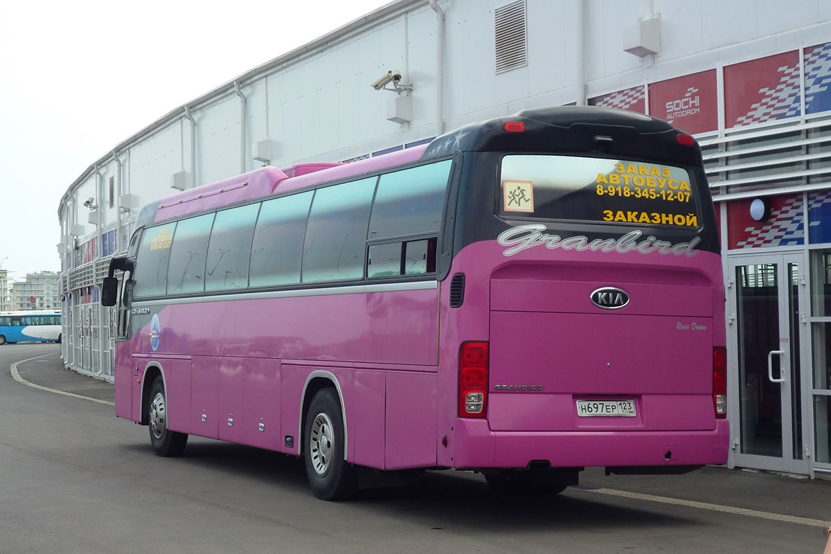 Заказной автобус. Заказной автобус розовый. Автобус Краснодар заказной. Хендай автобус розовый. Заказной автобус красного цвета.