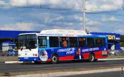 296 КБ