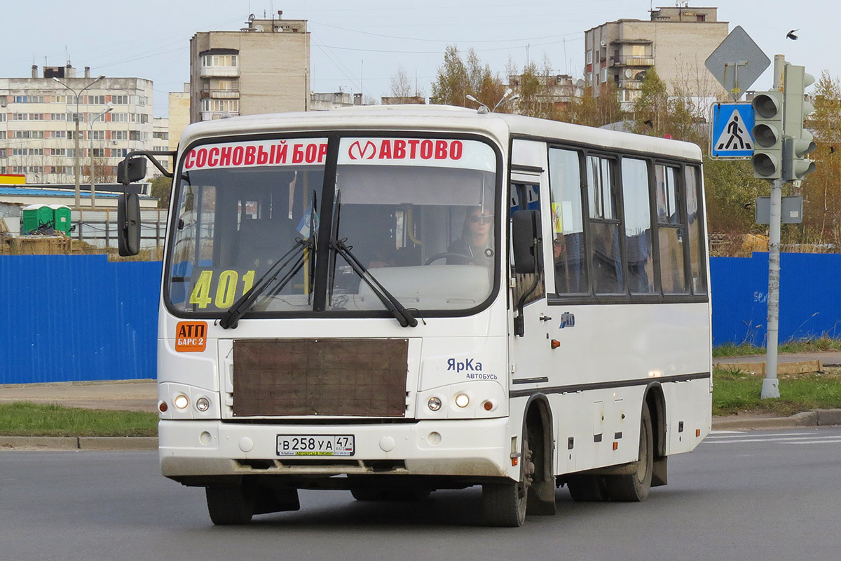 Ленинградская область, ПАЗ-320402-05 № В 258 УА 47