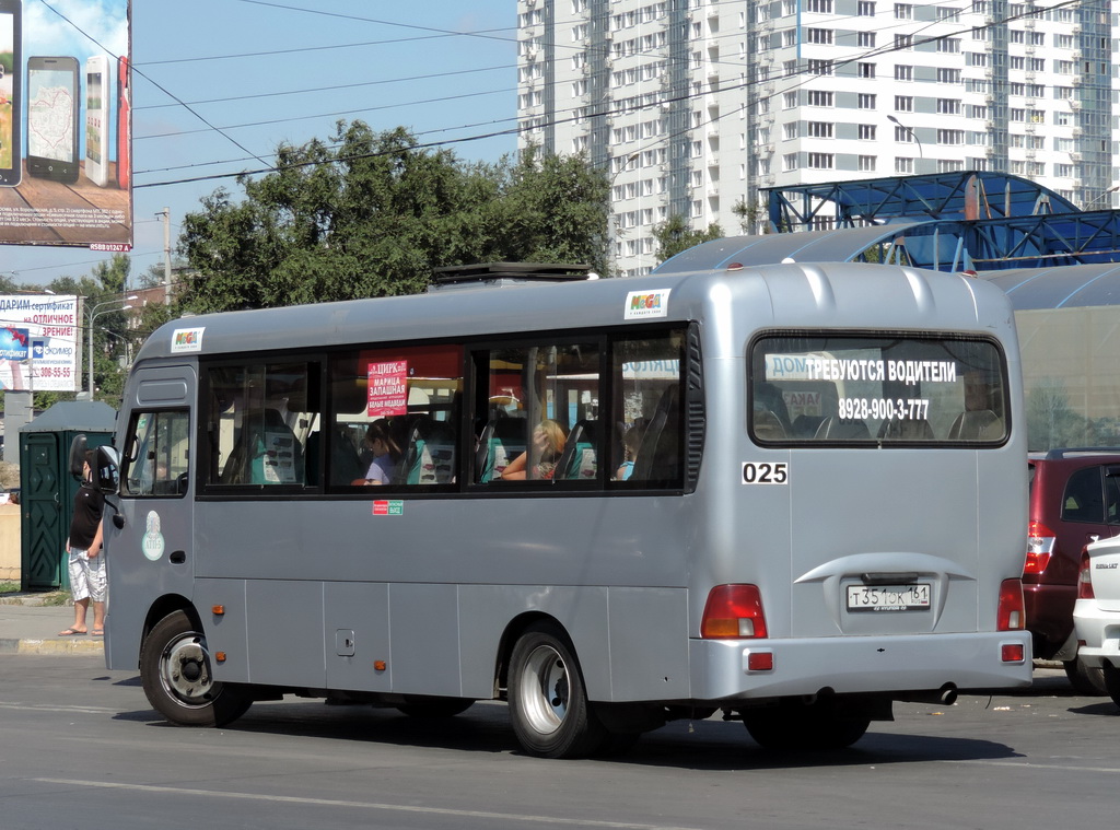 Ростовская область, Hyundai County LWB C11 (ТагАЗ) № 025