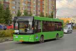 246 КБ