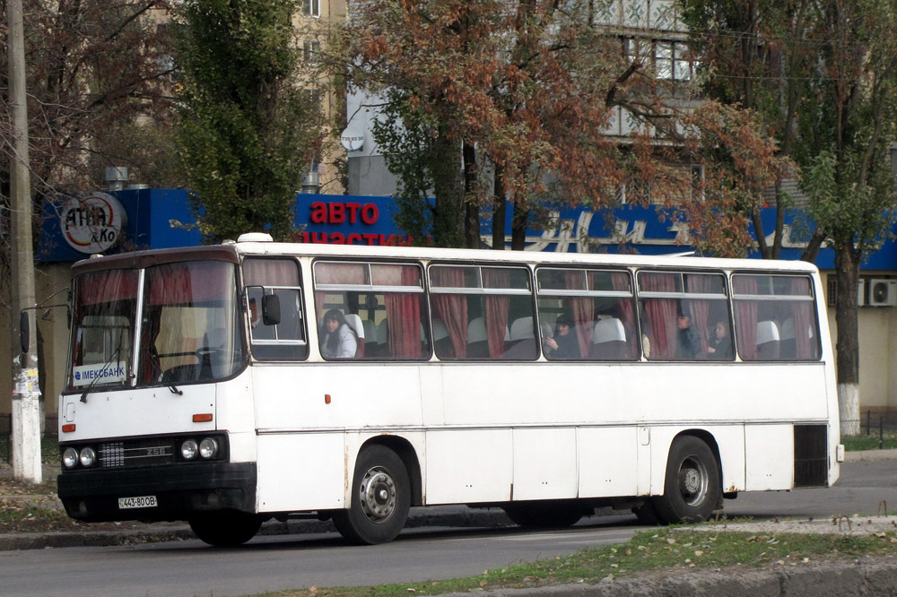 Одесская область, Ikarus 256.54 № 443-80 ОВ