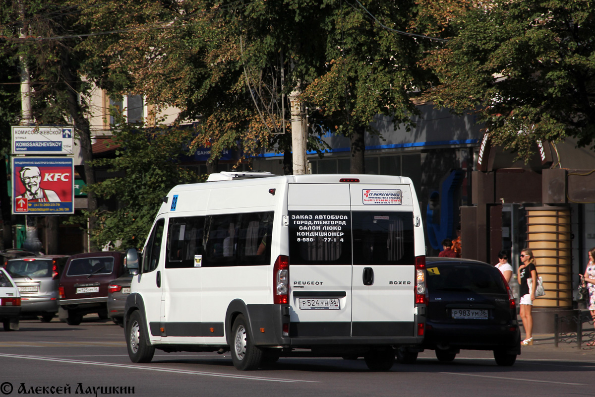 Воронежская область, Нижегородец-2227SK (Peugeot Boxer) № Р 524 УН 36