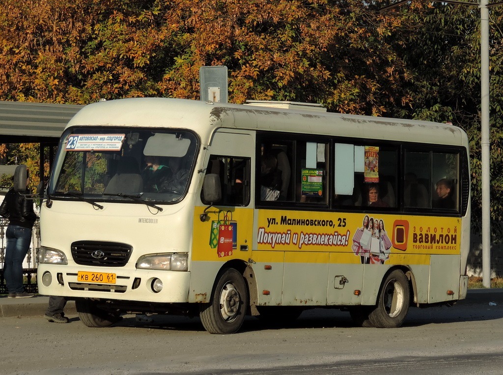 Ростовская область, Hyundai County SWB C08 (РЗГА) № 203