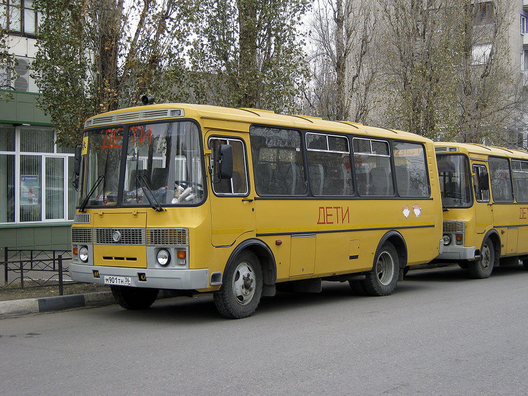 Воронежская область, ПАЗ-32053-70 № М 901 ТН 36