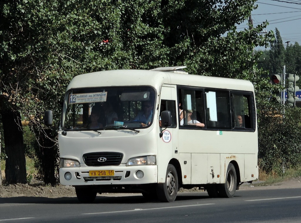 Ростовская область, Hyundai County SWB C08 (РЗГА) № КВ 258 61