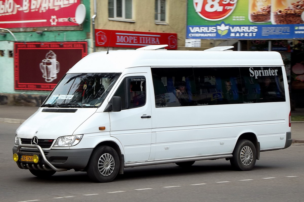 Днепропетровская область, Mercedes-Benz Sprinter W903 313CDI № AE 0667 AB