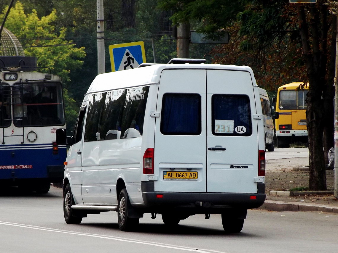 Днепропетровская область, Mercedes-Benz Sprinter W903 313CDI № AE 0667 AB