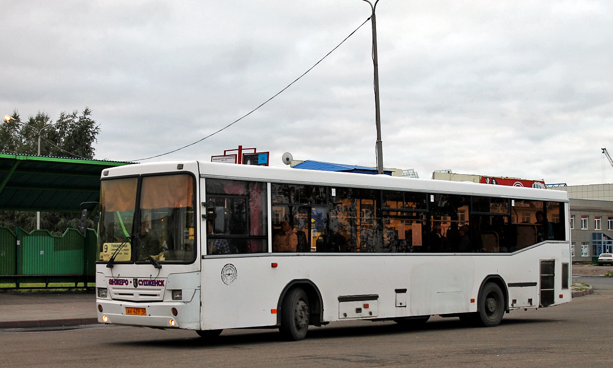 Kemerovo region - Kuzbass, NefAZ-5299-10-15 Nr. 46