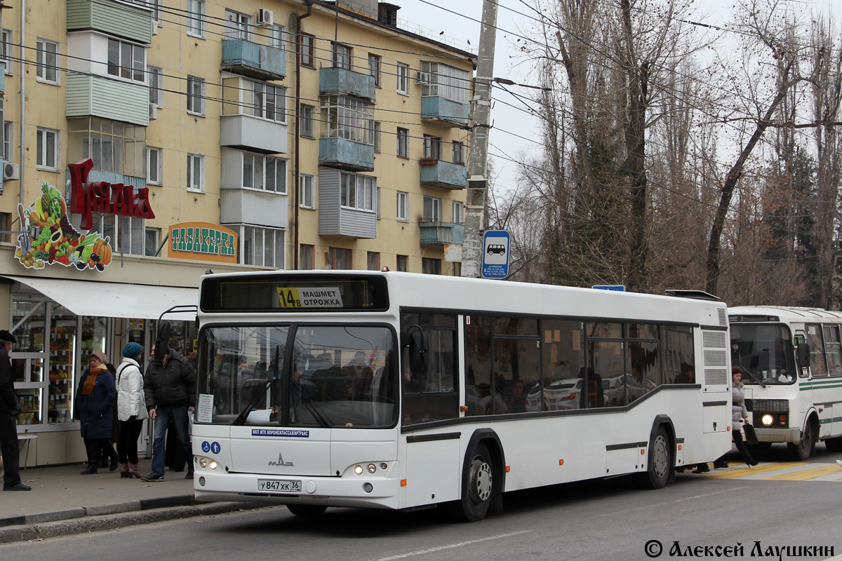 Воронежская область, МАЗ-103.469 № У 847 ХК 36