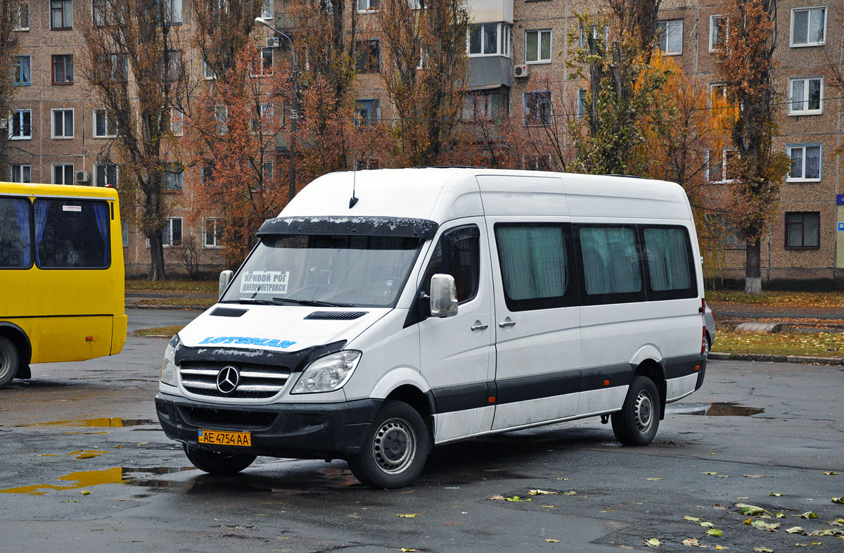 Днепропетровская область, Mercedes-Benz Sprinter W906 313CDI № AE 4754 AA