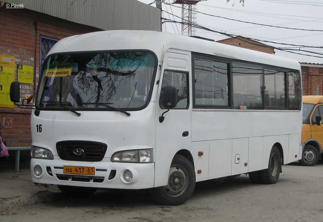 Ростовская область, Hyundai County LWB C09 (ТагАЗ) № 16